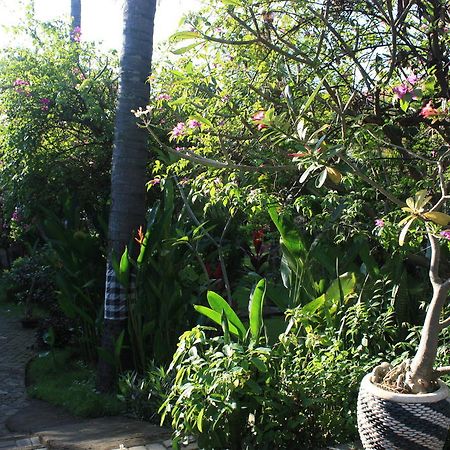 Cleopatra Beach Bungalows Hotel Lovina Exterior foto
